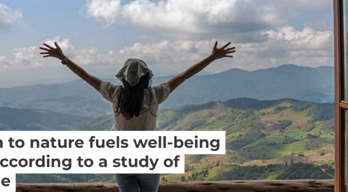 Across cultures, languages and economic systems, feeling connected to the natural world is consistently linked to living a more hopeful, purposeful and resilient life. nymphoenix/iStock via Getty Images Plus